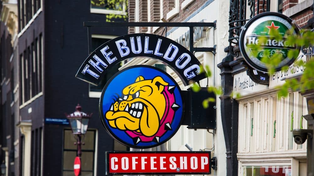 best coffeeshops in Amsterdam